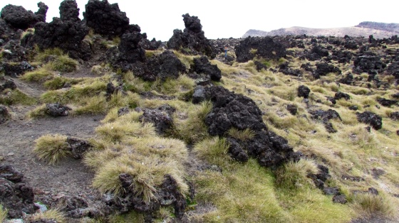 Volcanic Rocks in the Valley - Tongariro National Park